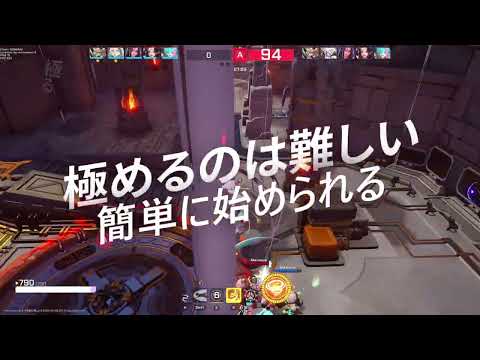 StormStriker メイントレイラー